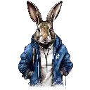 24.webp