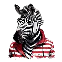 22.webp