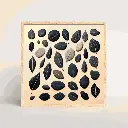 stones & leaves 2.webp