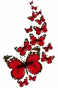 Flutter Bold main image.webp