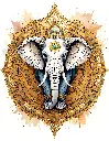 Regal wisdom.webp