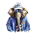 22.webp