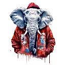 24.webp