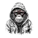 17.webp